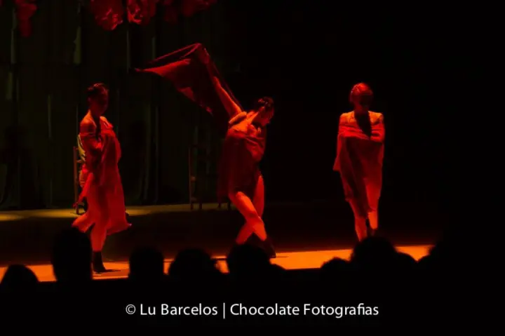 Lu Barcelos
